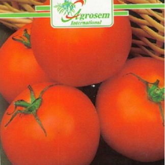 Seminte Tomate Campbell 33