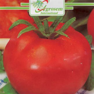 Seminte Tomate S. Pierre