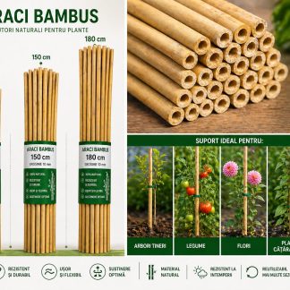 Araci Bambus 120 / 150 / 180 cm – Tutori Naturali pentru Plante, Grosime 10-14 mm suport legare flori și arbori tineri