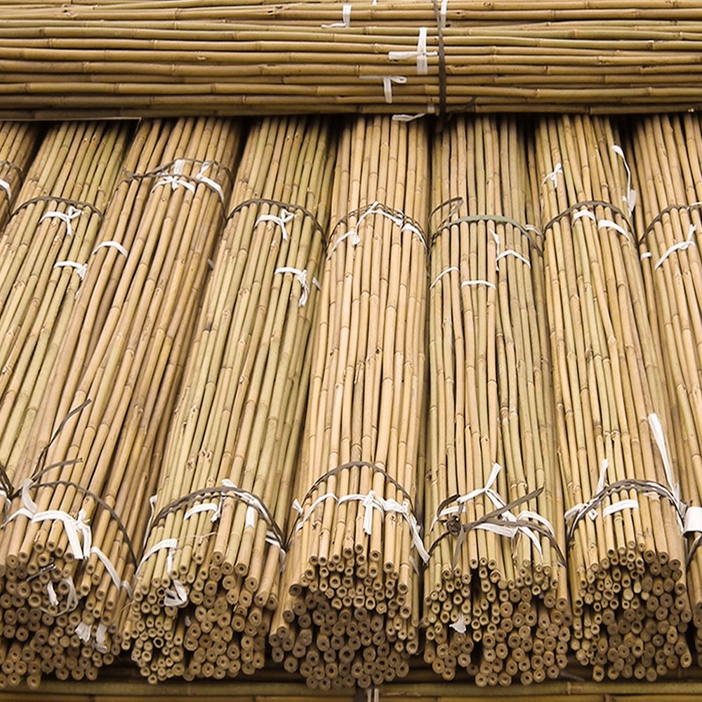 Araci Bambus 120 / 150 / 180 cm – Tutori Naturali pentru Plante, Grosime 10-14 mm suport legare flori și arbori tineri