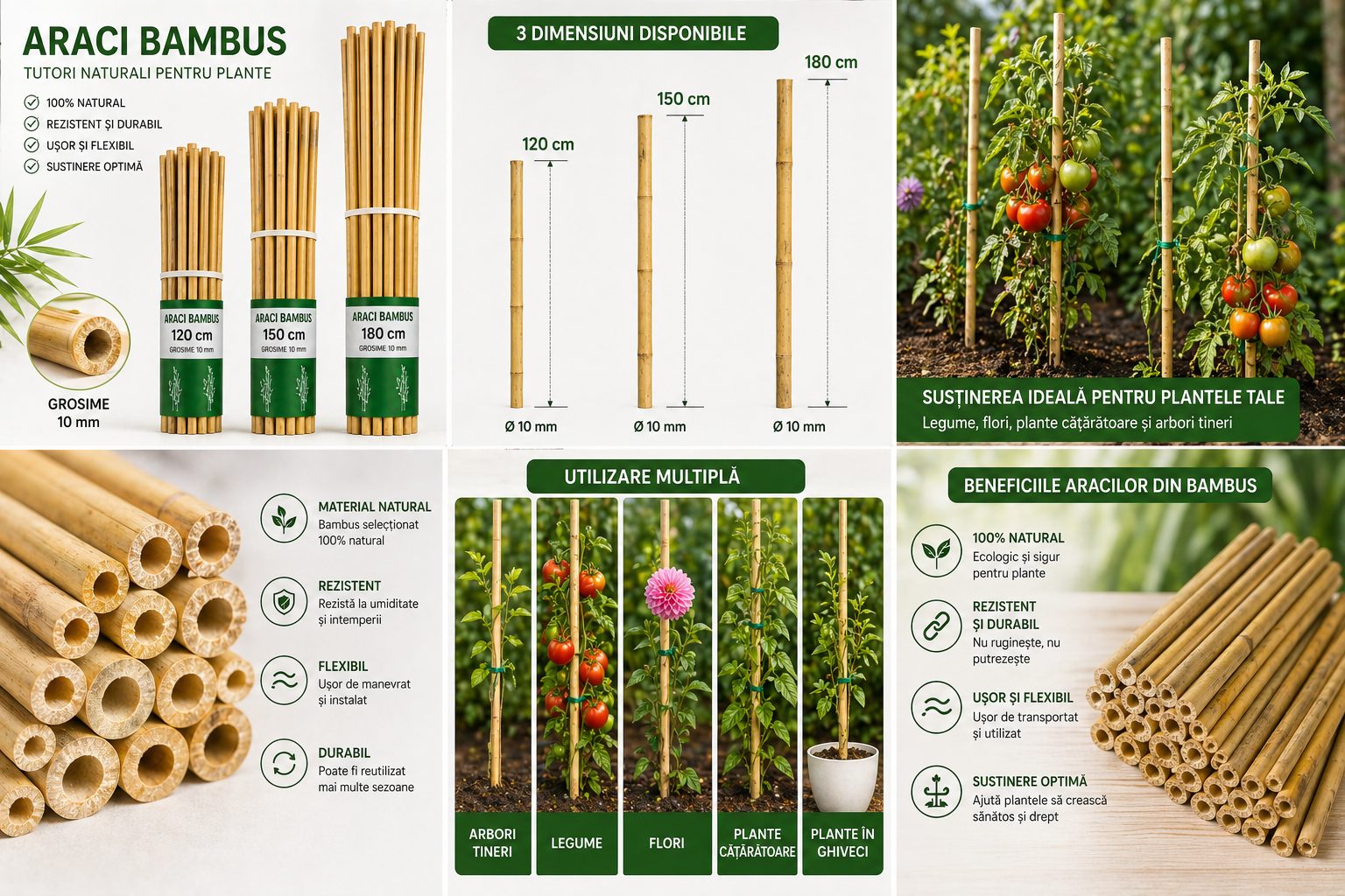 Araci Bambus 120 / 150 / 180 cm – Tutori Naturali pentru Plante, Grosime 10-14 mm suport legare flori și arbori tineri
