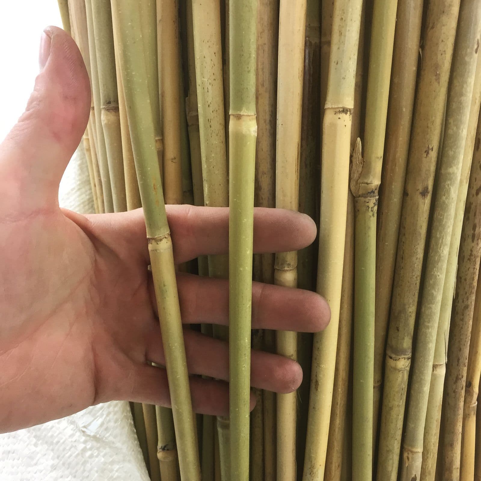 Araci Bambus 120 / 150 / 180 cm – Tutori Naturali pentru Plante, Grosime 10-14 mm suport legare flori și arbori tineri