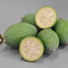 Feijoa - Ananas Guava