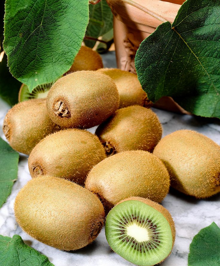 Pachet KIWI: 2 femele Heyward +1 mascul ATLAS polenizator, anul 4, 2 tije fructifere, 140-160 cm