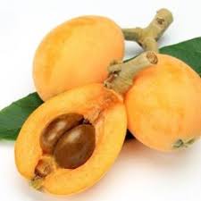 Loquat - mosmon japonez